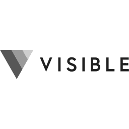 Visible for Companies logo